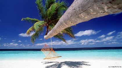 Honeymoon trip "Maldives" 